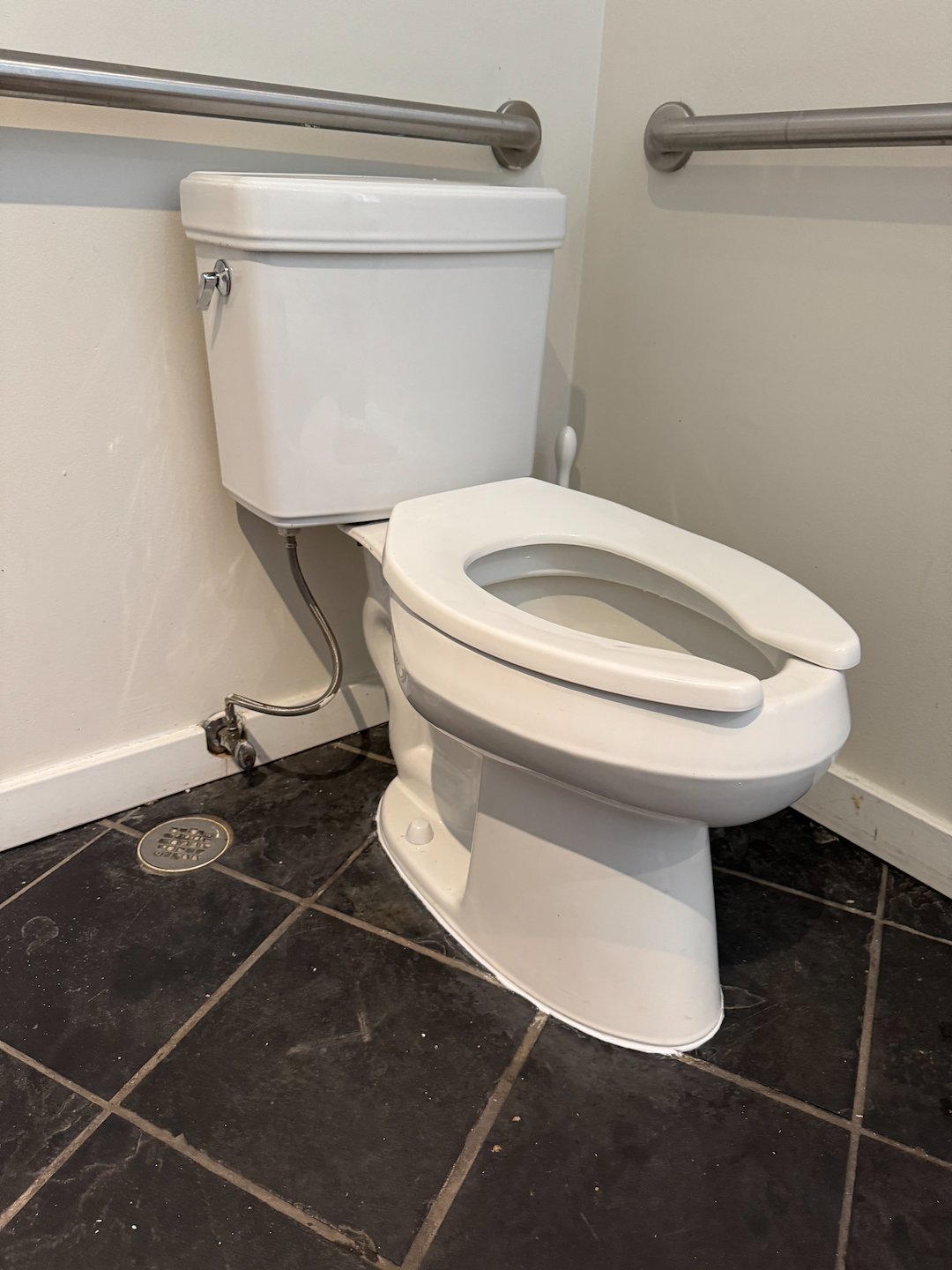 Commercial Plumbing: Toilet Unclog in Hinsdale, IL